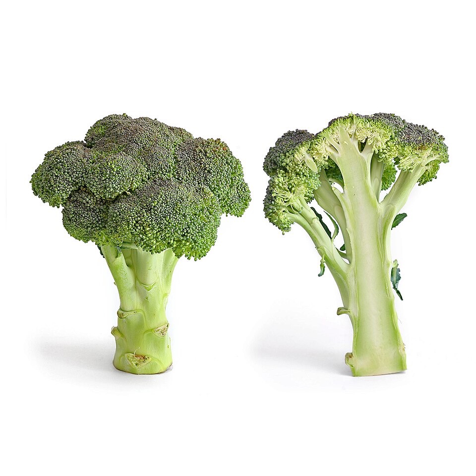 Broccoli