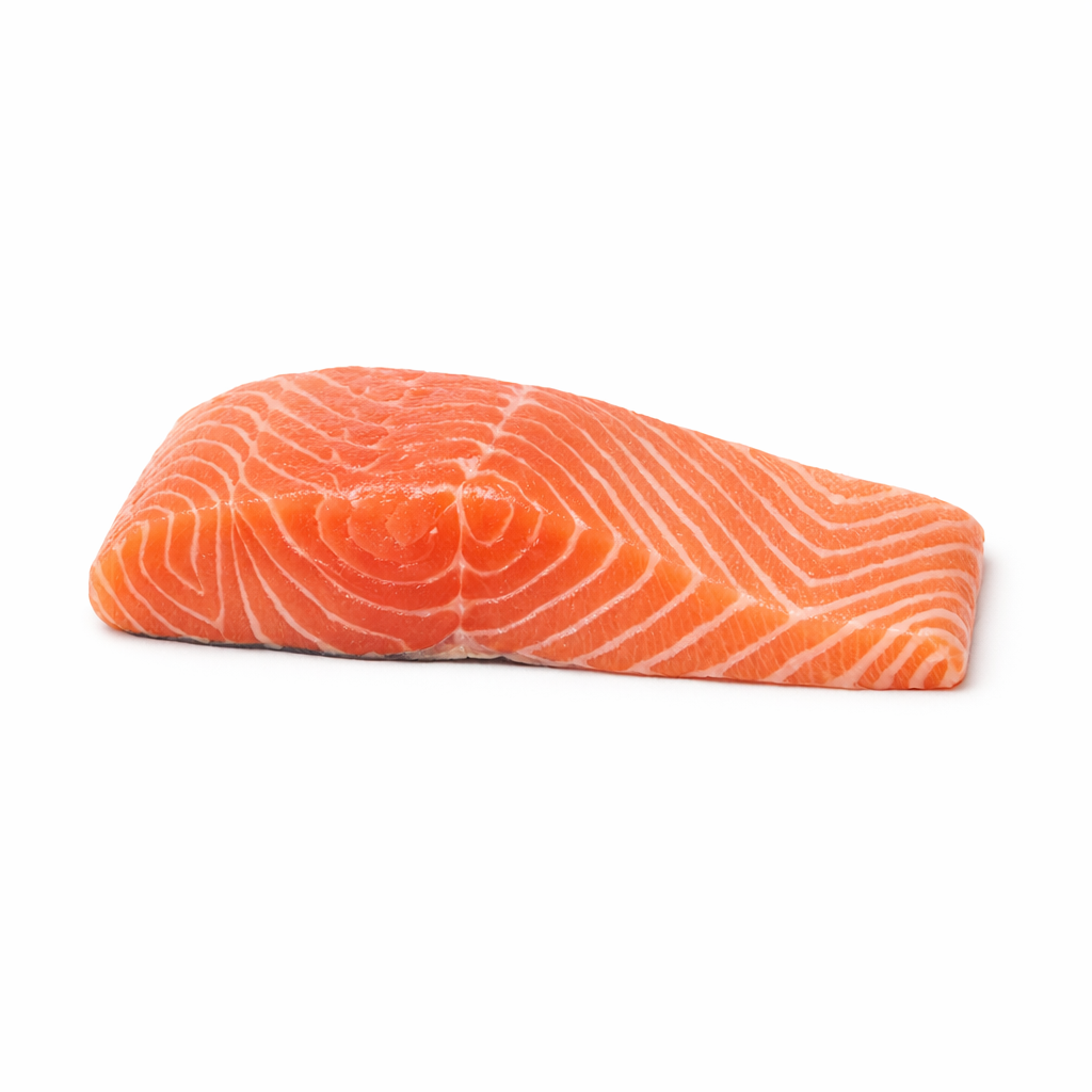 Salmon